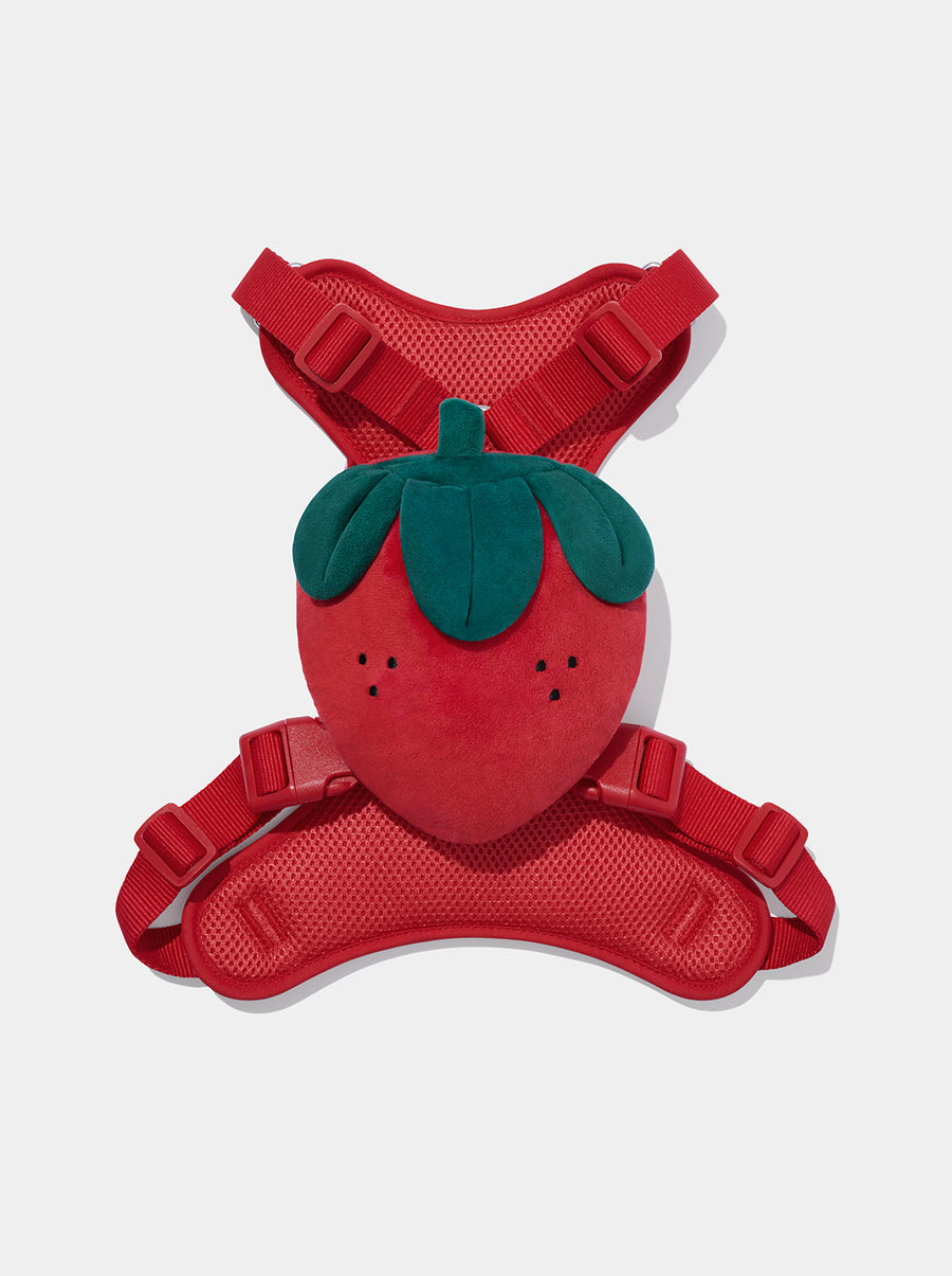 Strawberry Pet Backpack, Harness & Leash Set