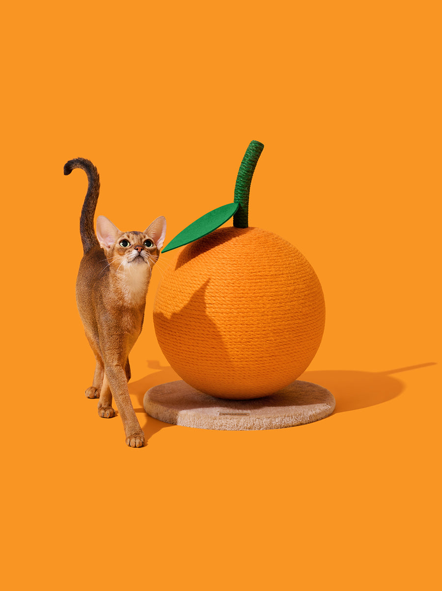 Tangerine Cat Scratching Ball