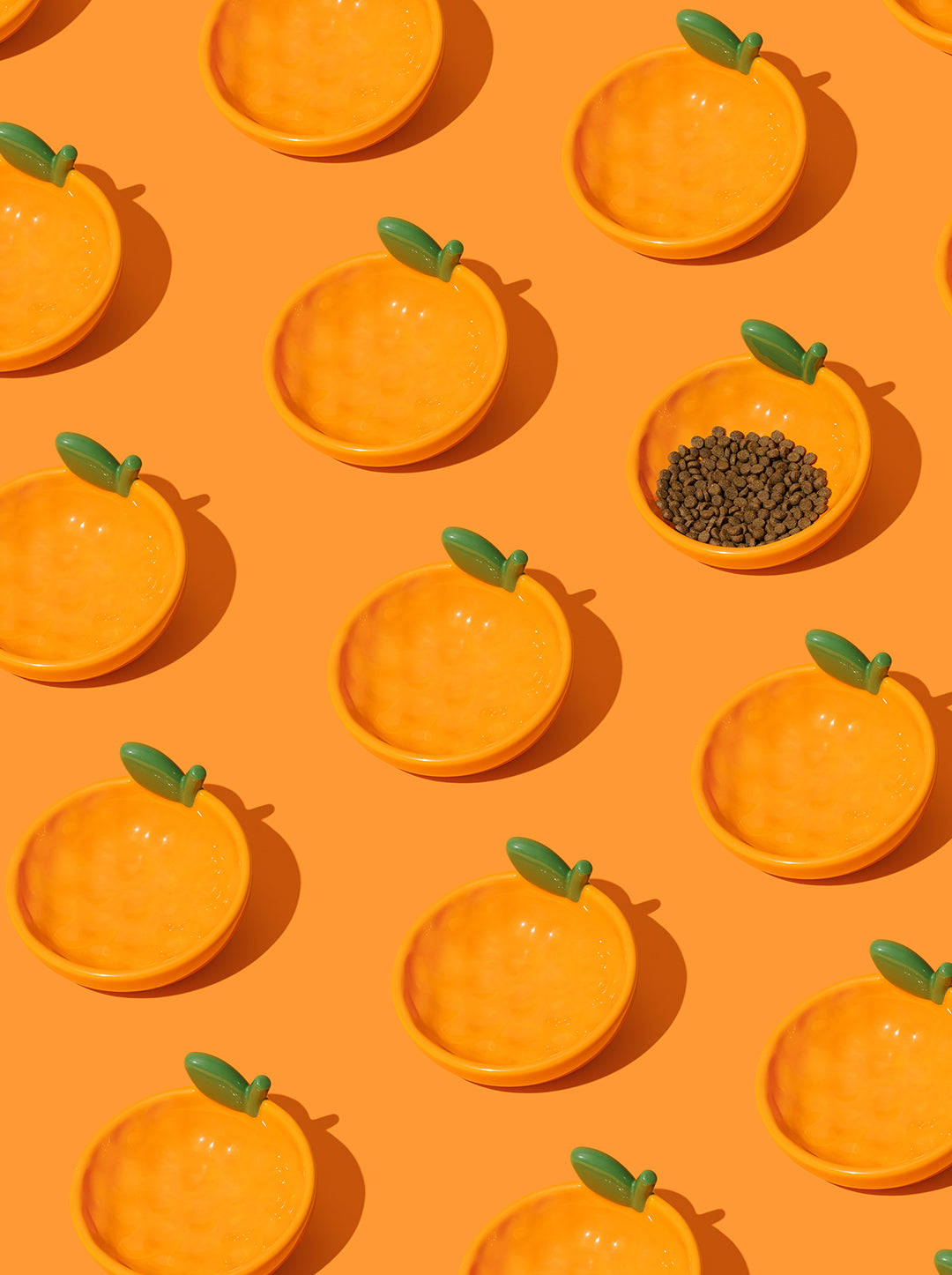 Tangerine Ceramic Pet Bowl