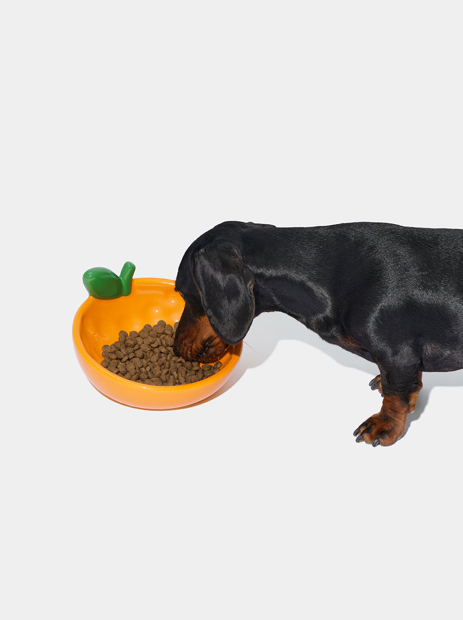 Tangerine Ceramic Pet Bowl
