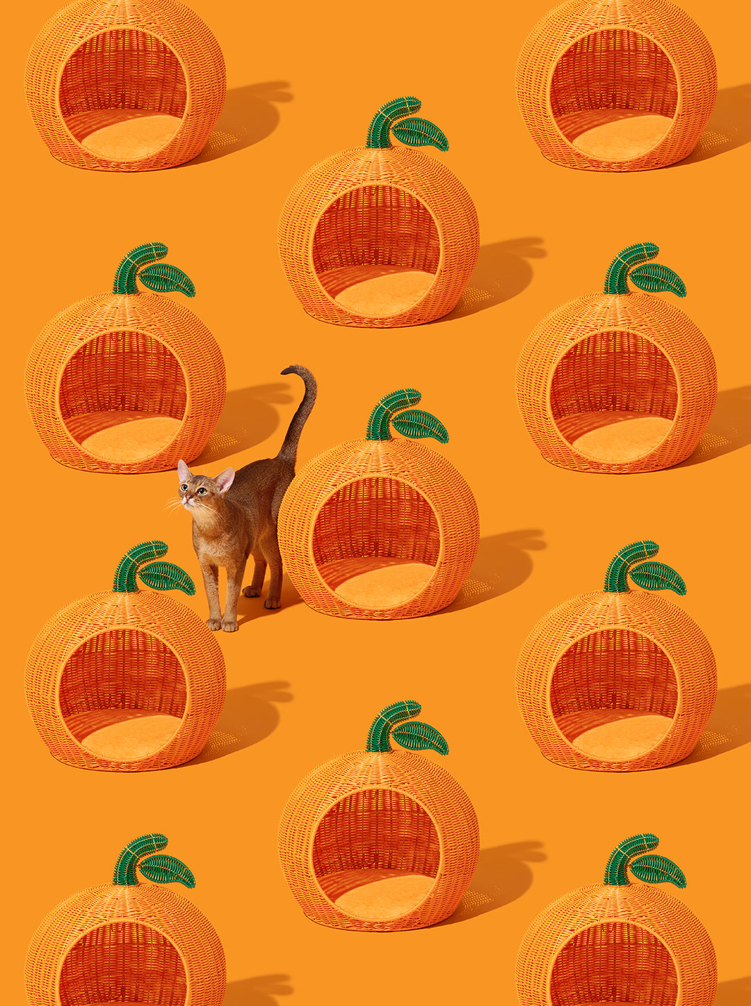Tangerine Rattan Pet Bed