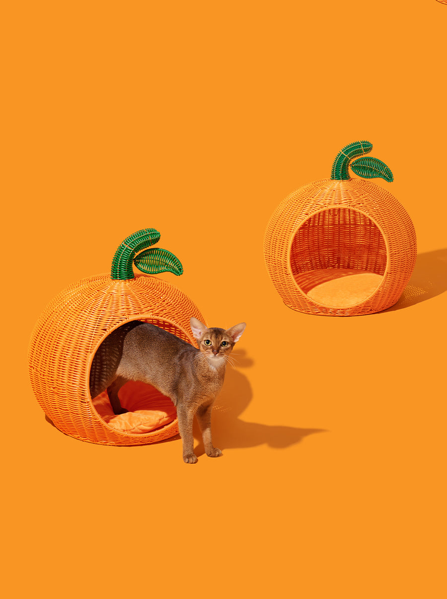 Tangerine Rattan Pet Bed