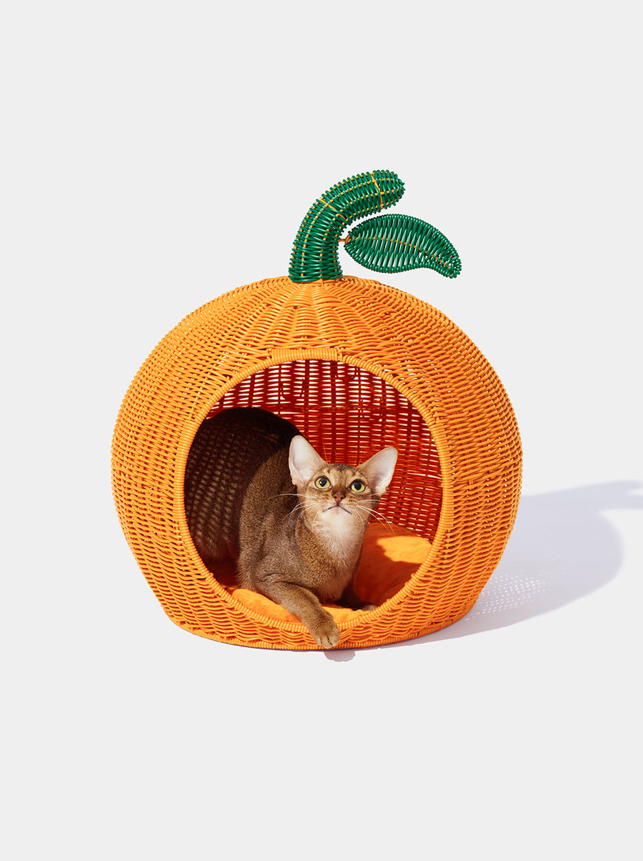 Tangerine Rattan Pet Bed