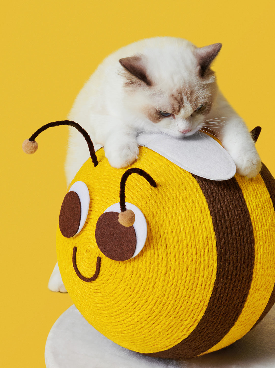 Bee Cat Scratching Ball