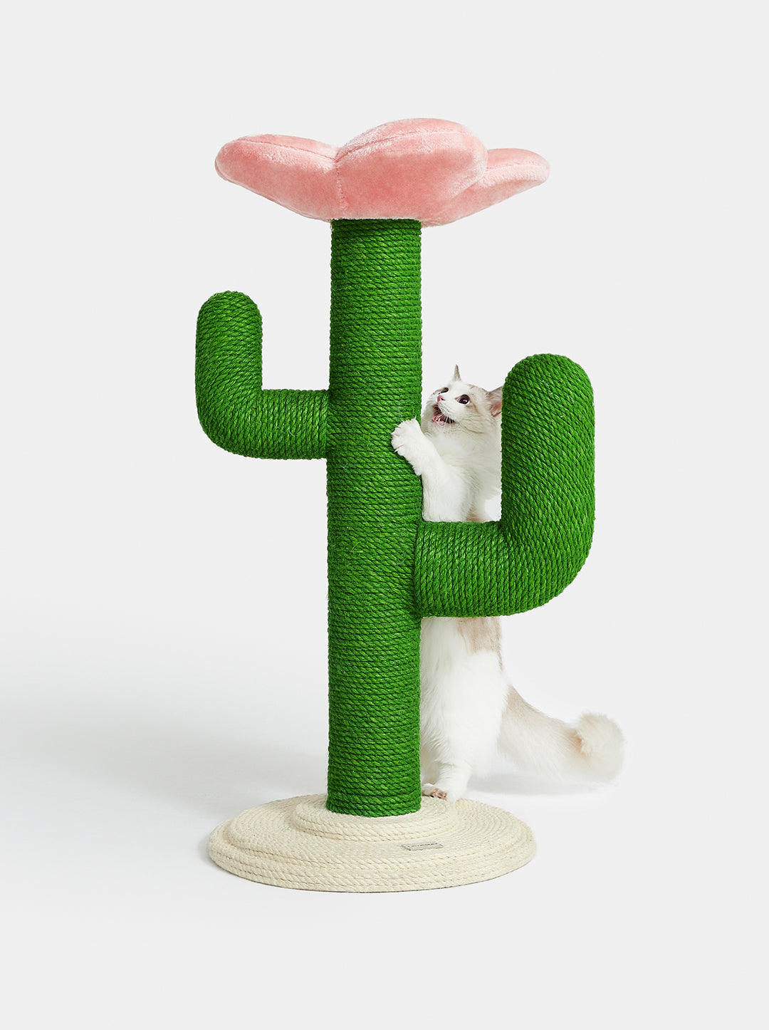 Blooming Cactus Cat Tree