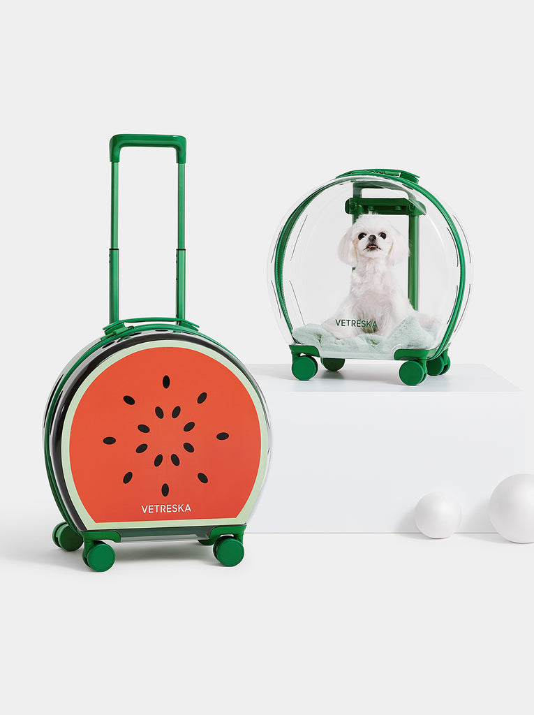 Bubble Pet Carrier - Green