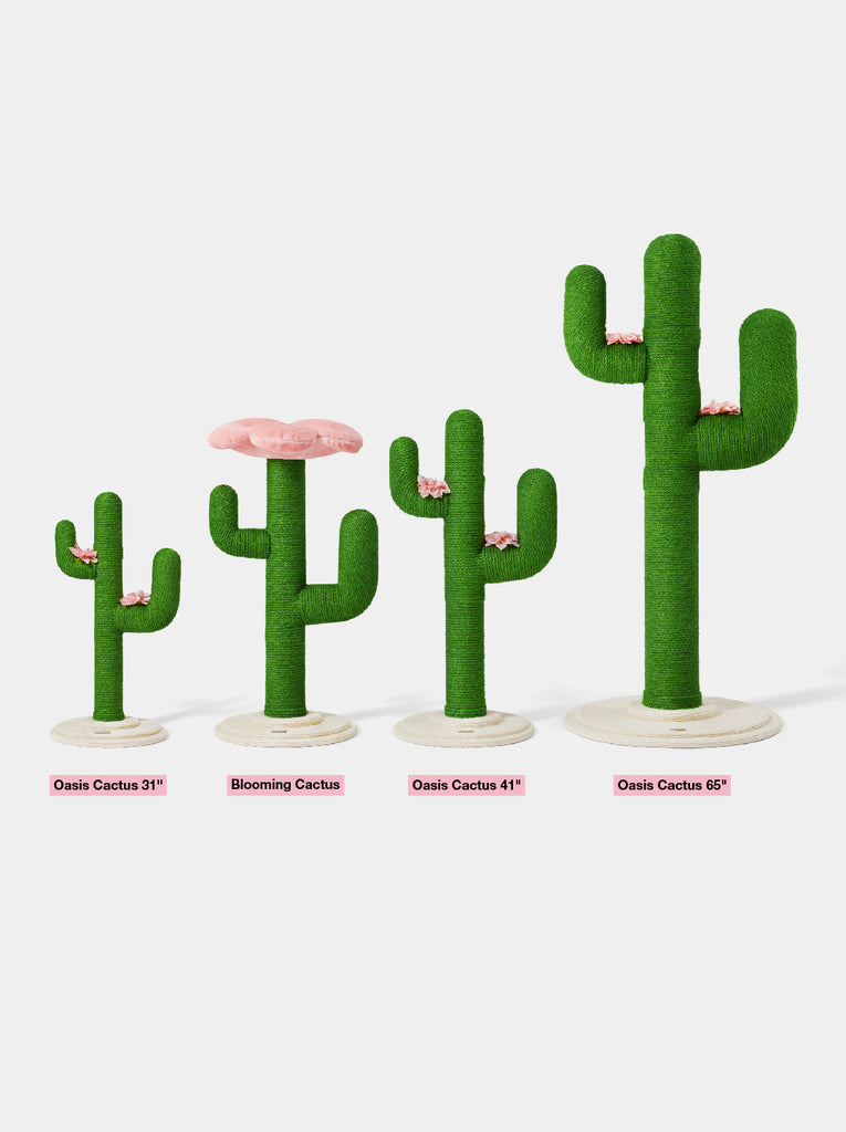 Blooming Cactus Cat Tree