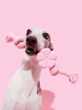 Playful Charm Knot Rope Toy (Cherry Blossom)