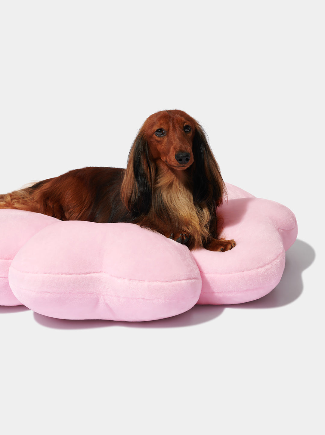 Pink dog pillow orders