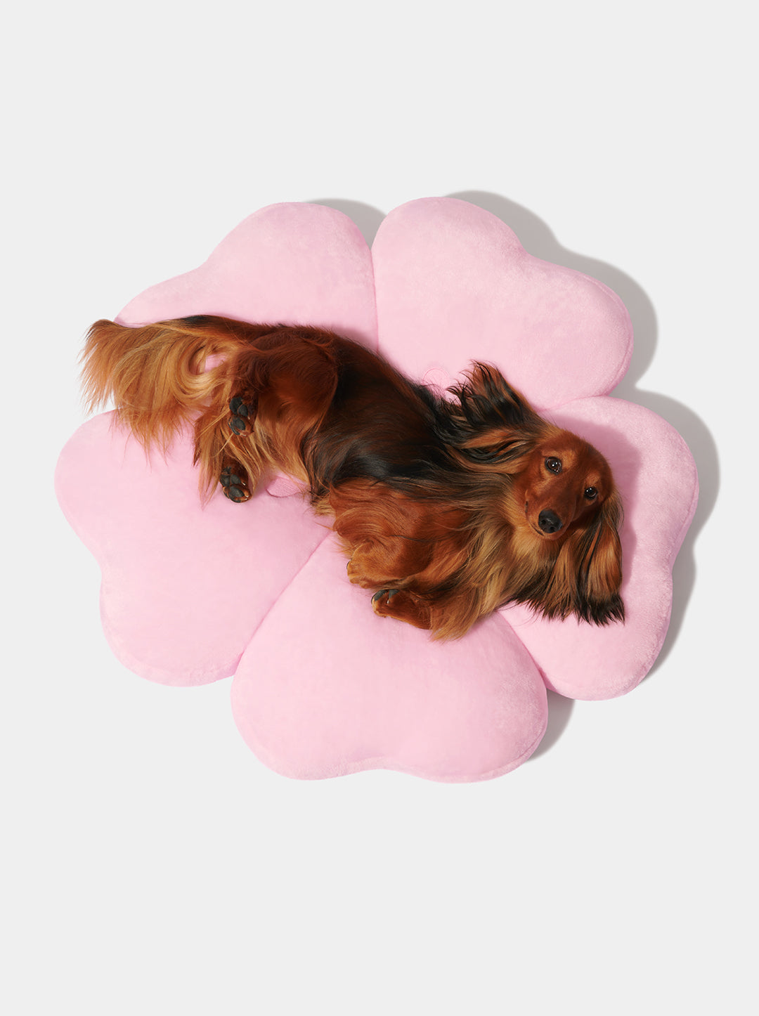 Cherry Blossom Pet Bed