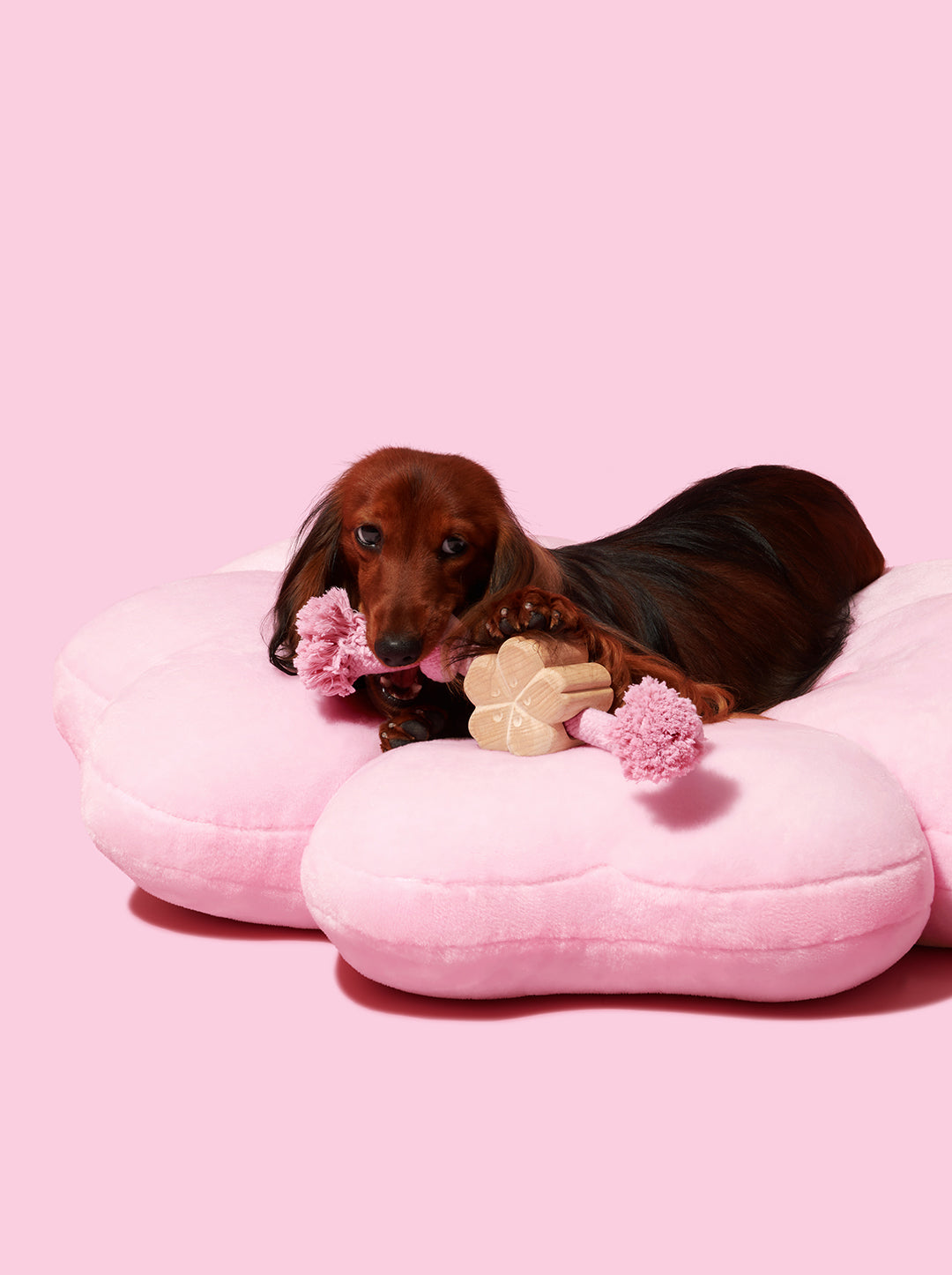 Cherry Blossom Pet Bed