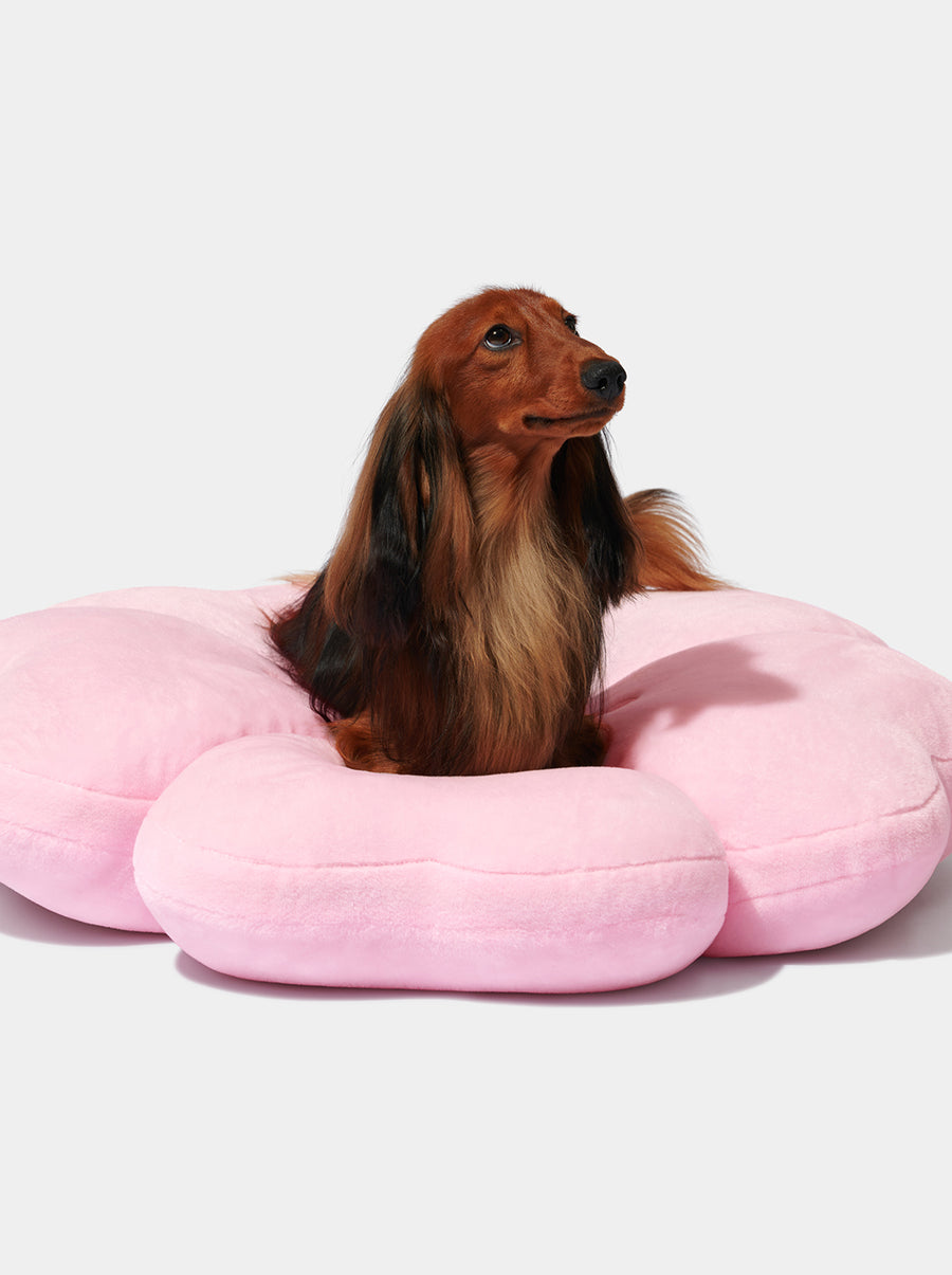 Cherry Blossom Pet Bed