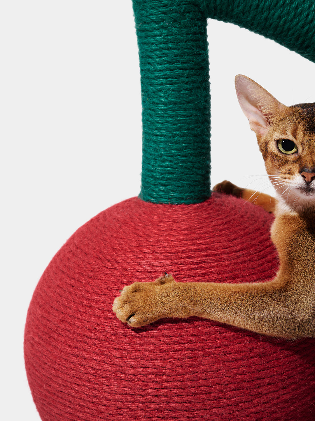 Cherry Cat Tree