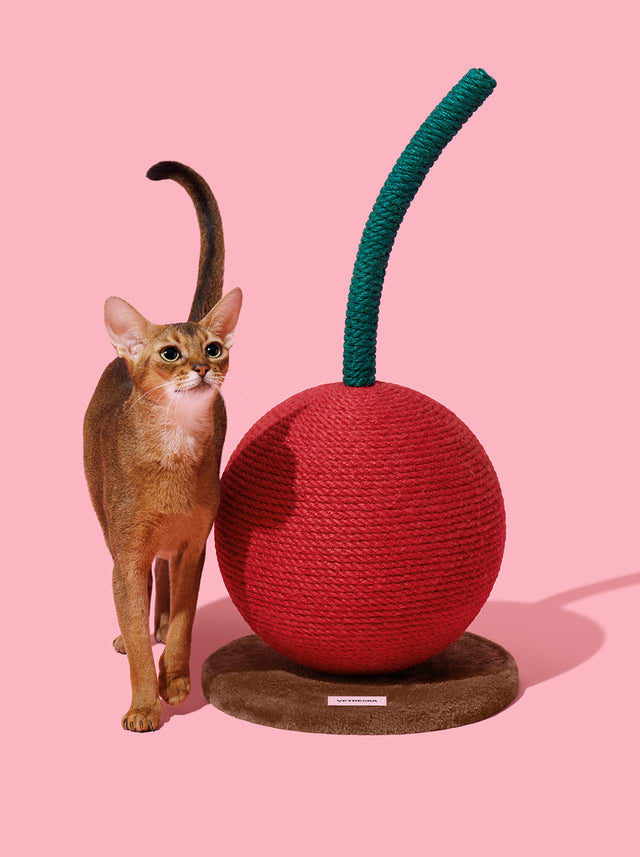 Cherry Cat Scratching Ball