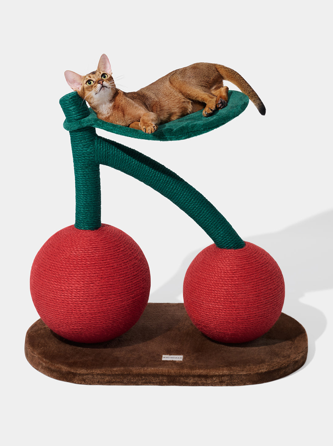 Cat on scratching post best sale