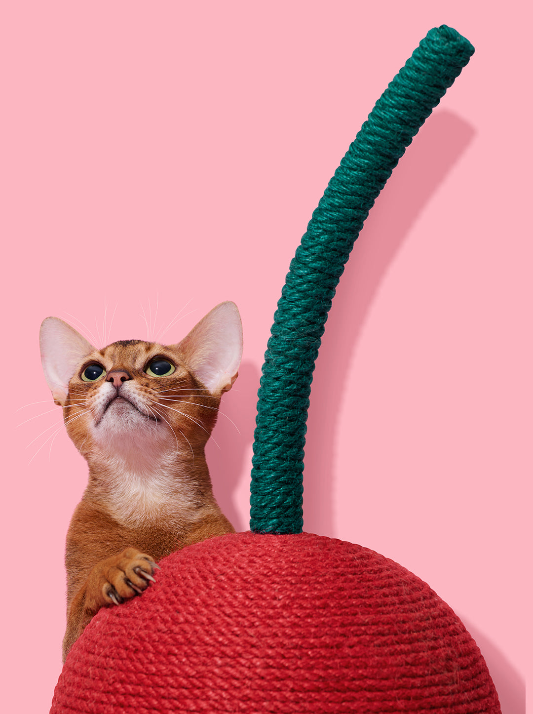 Cherry Cat Scratching Ball