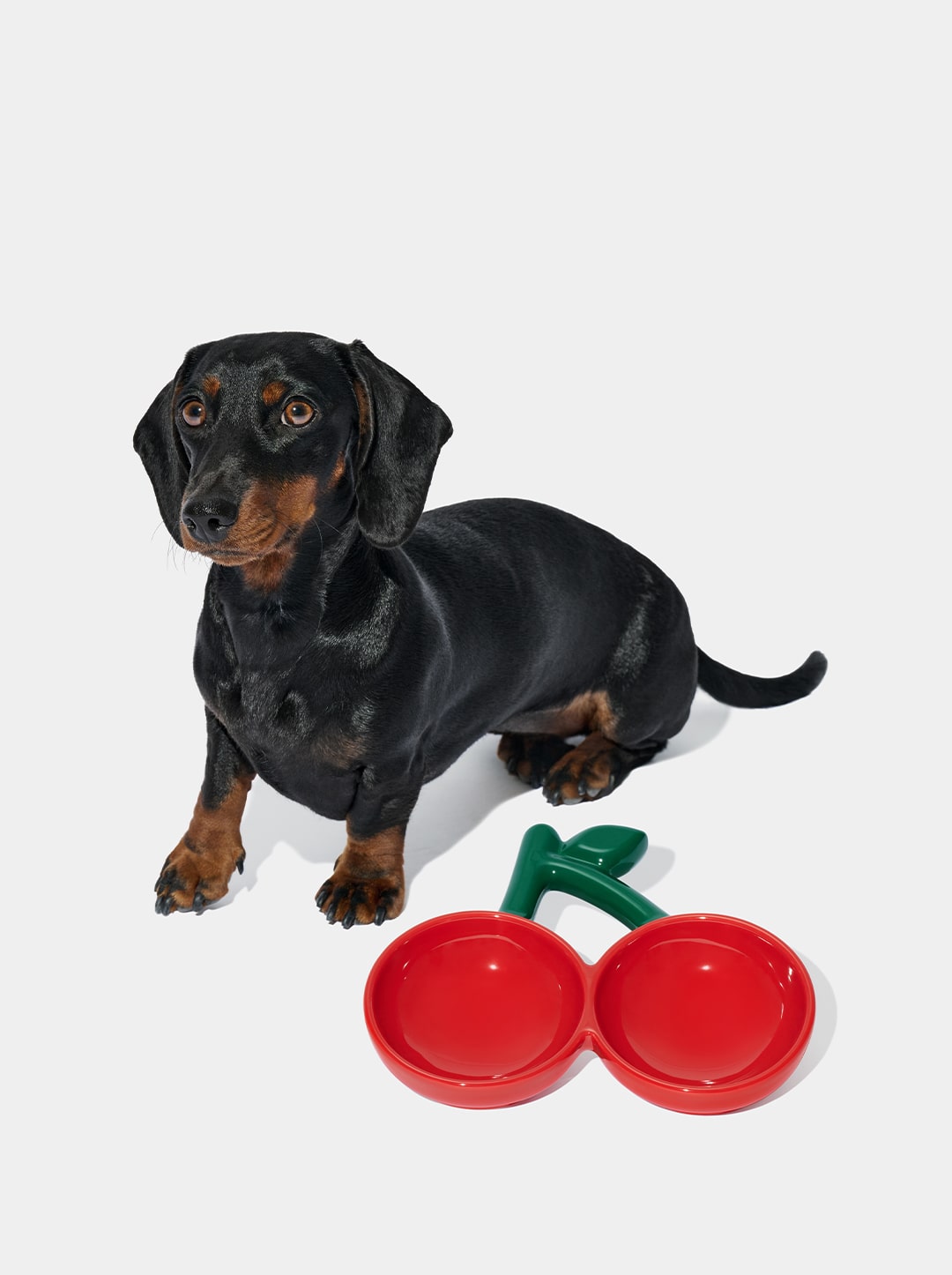 Cherry Ceramic Pet Bowl (NEW)