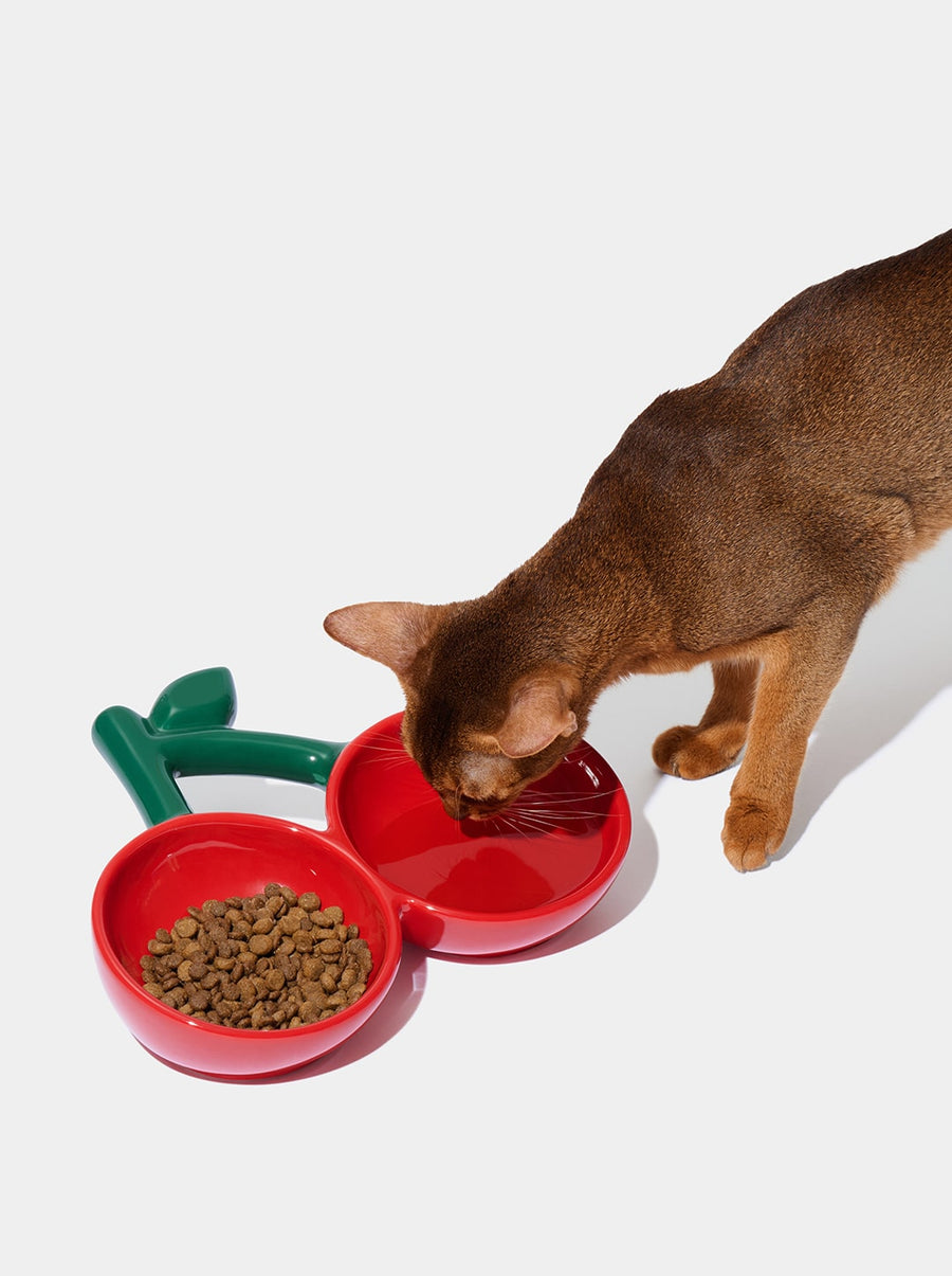 Cherry Ceramic Pet Bowl
