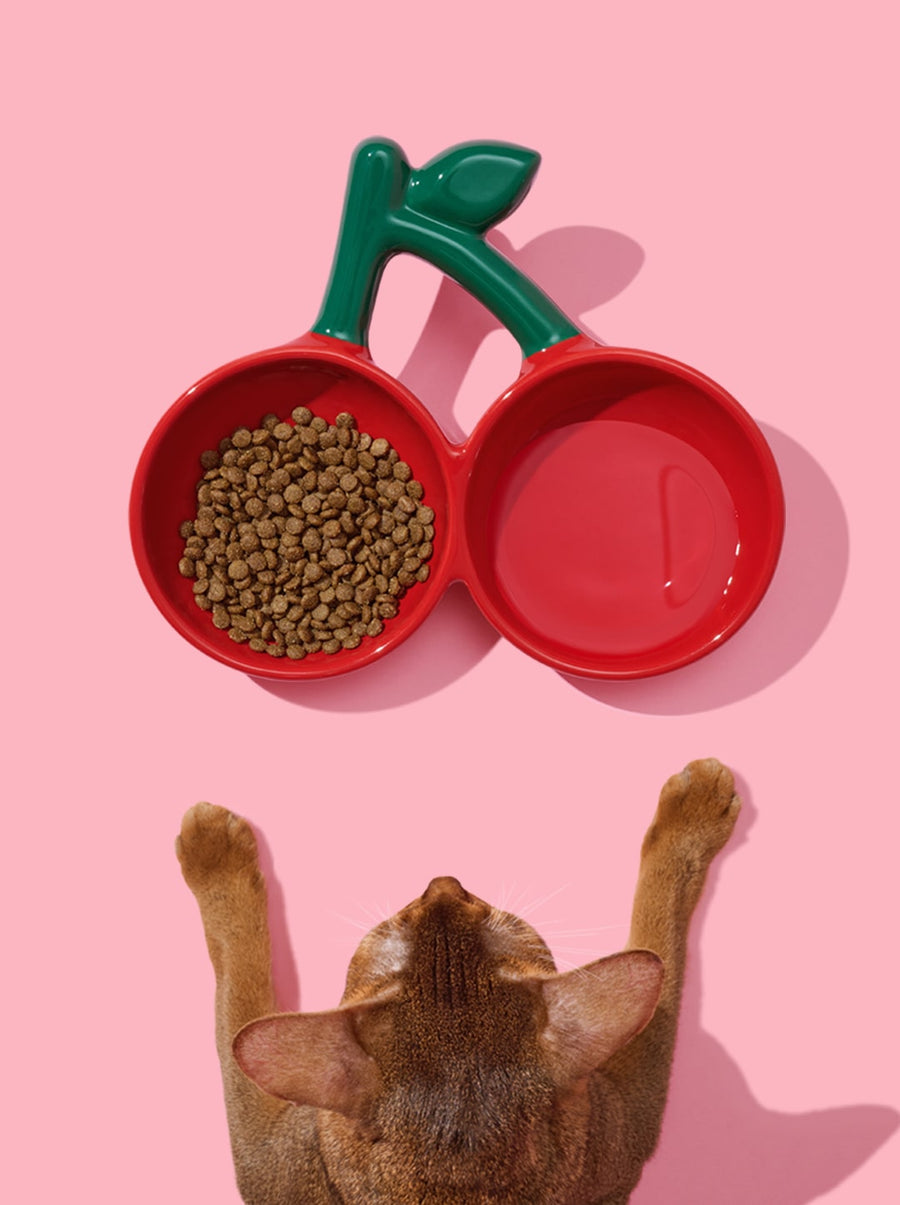 Cherry Ceramic Pet Bowl