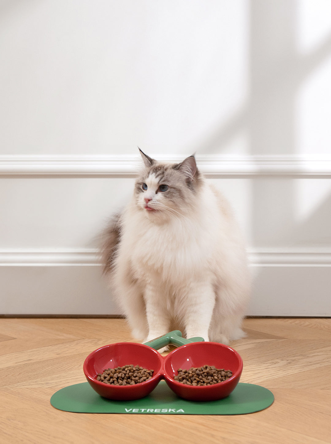 Cherry Ceramic Pet Bowls