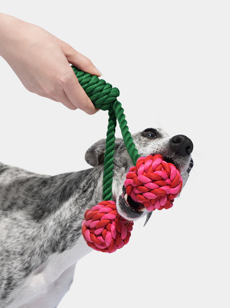 Cherry Knot Rope Toy