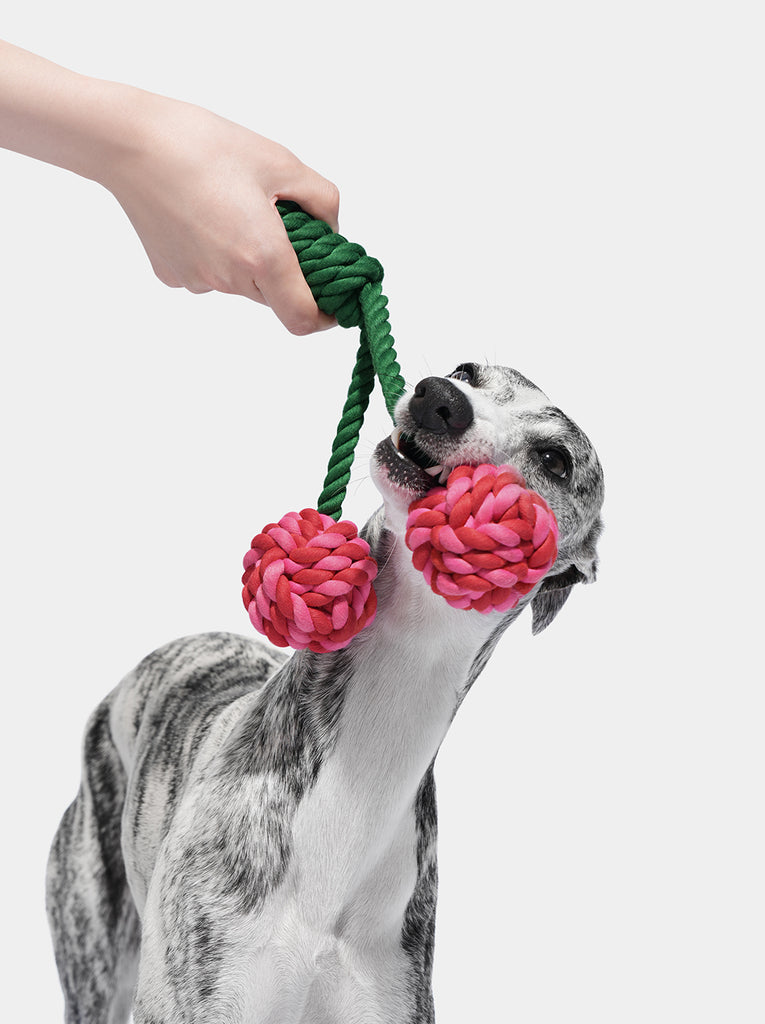 Cherry Knot Rope Toy
