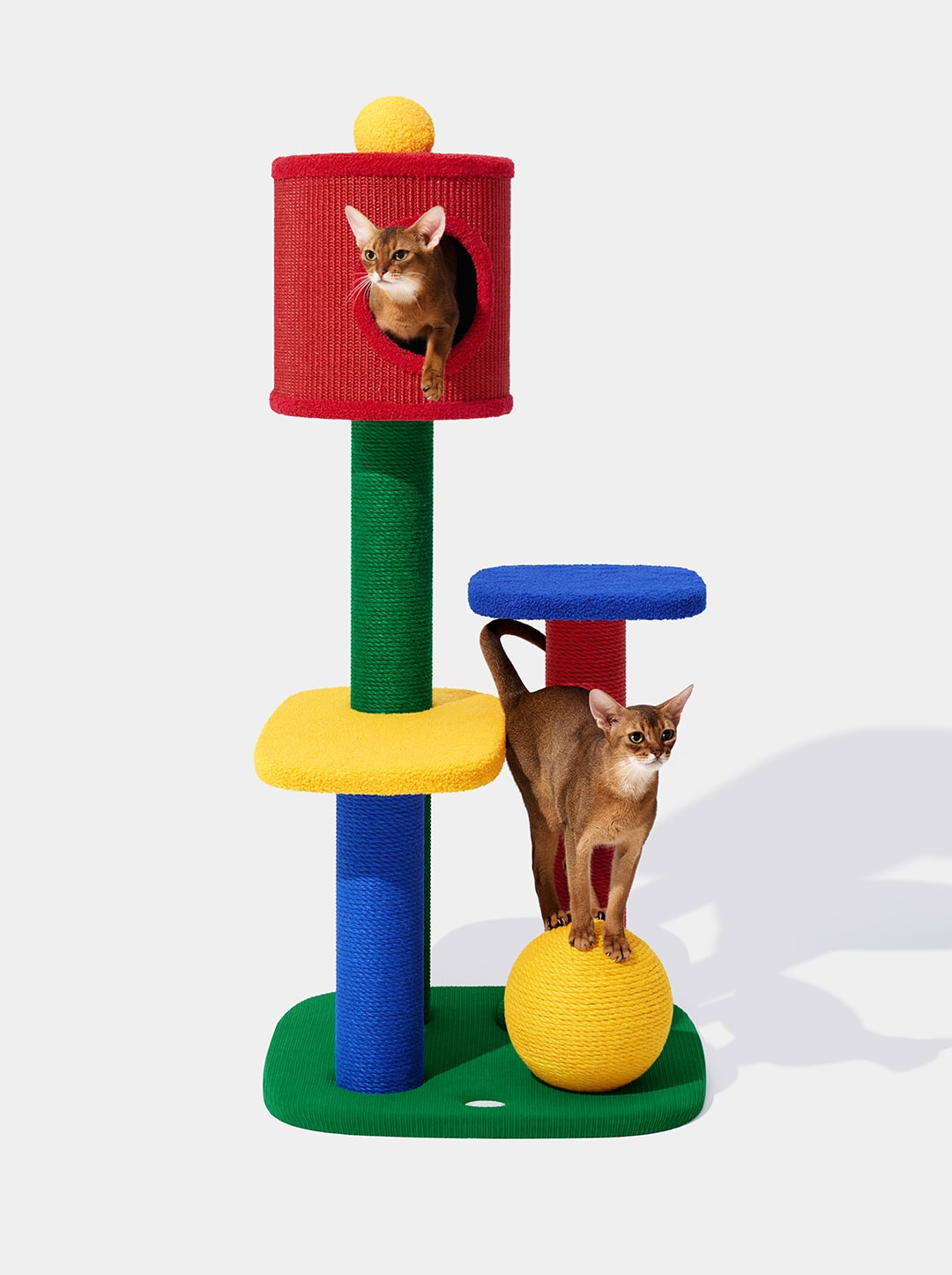 Chroma Cat Climber