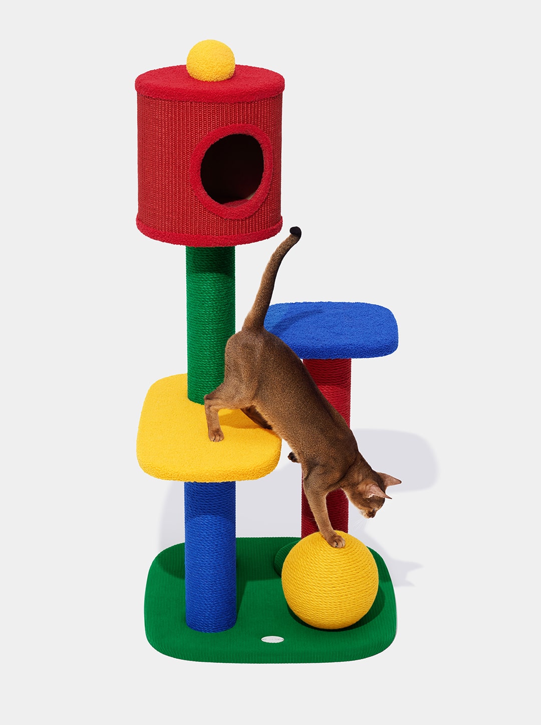 Chroma Cat Climber