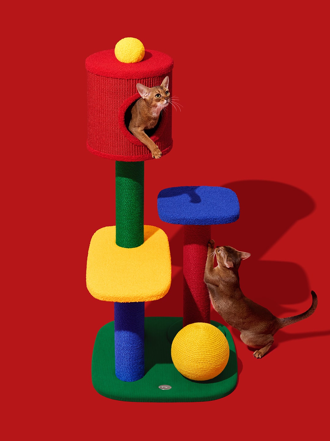 Chroma Cat Climber