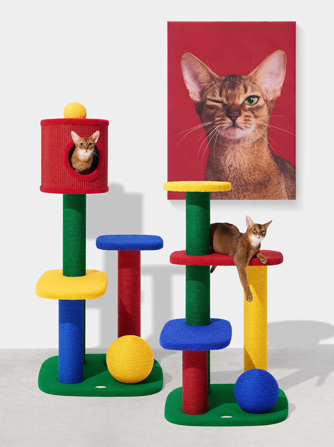 Chroma Cat Climber - Open Platform