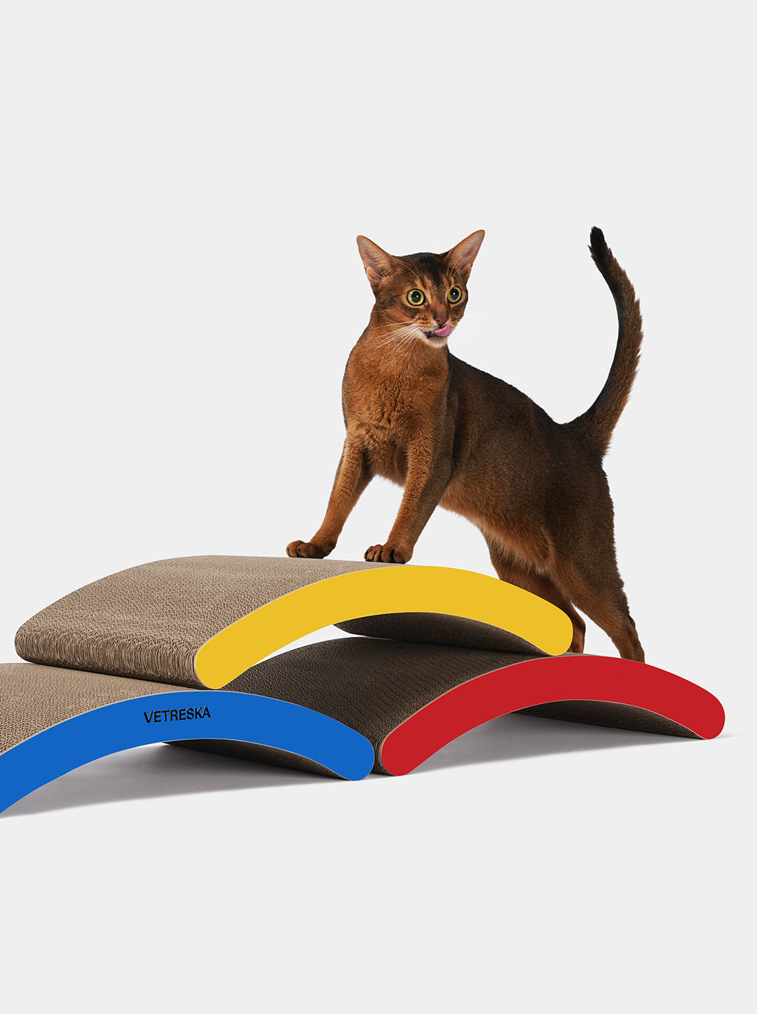 Chroma Cat Scratcher