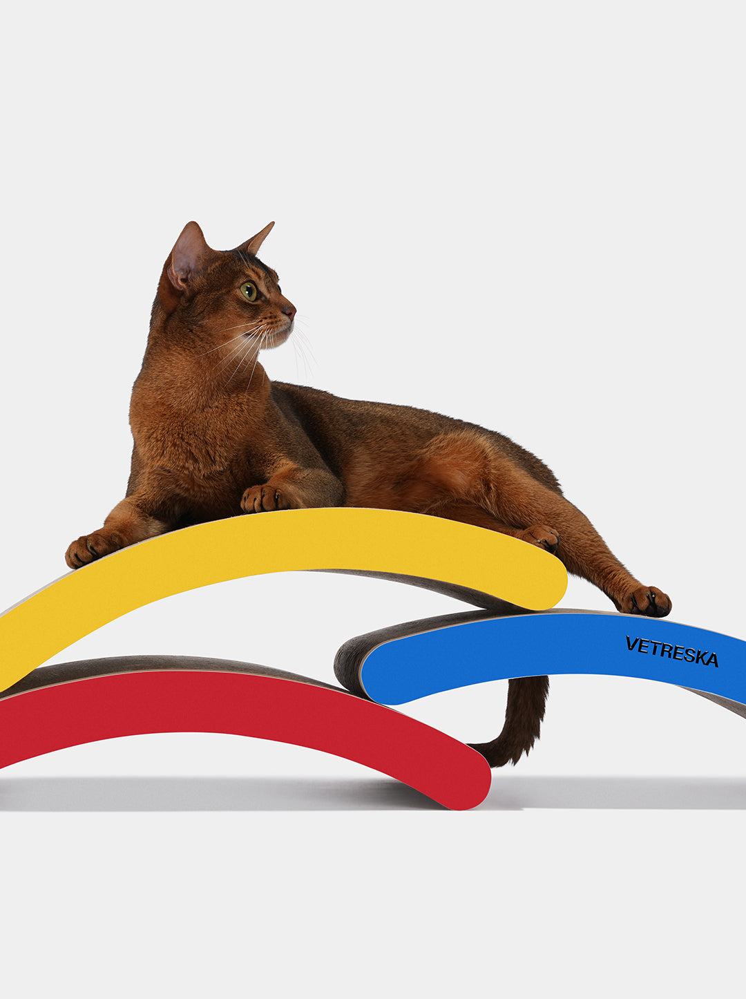 Chroma Cat Scratcher