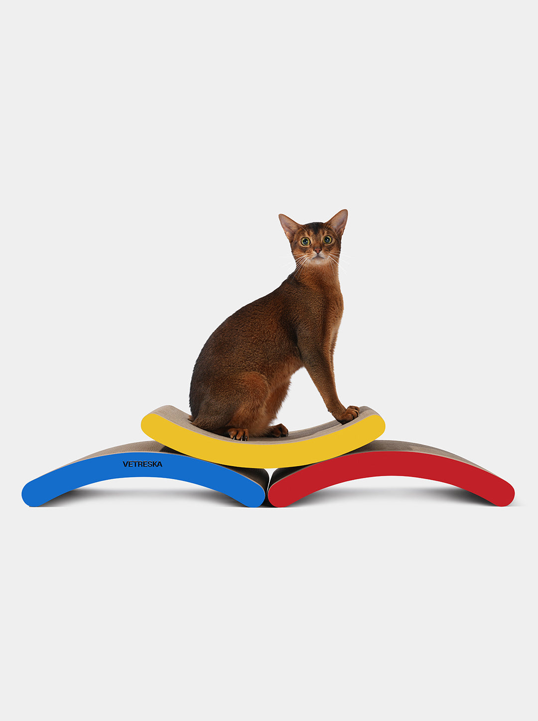 Chroma Cat Scratcher