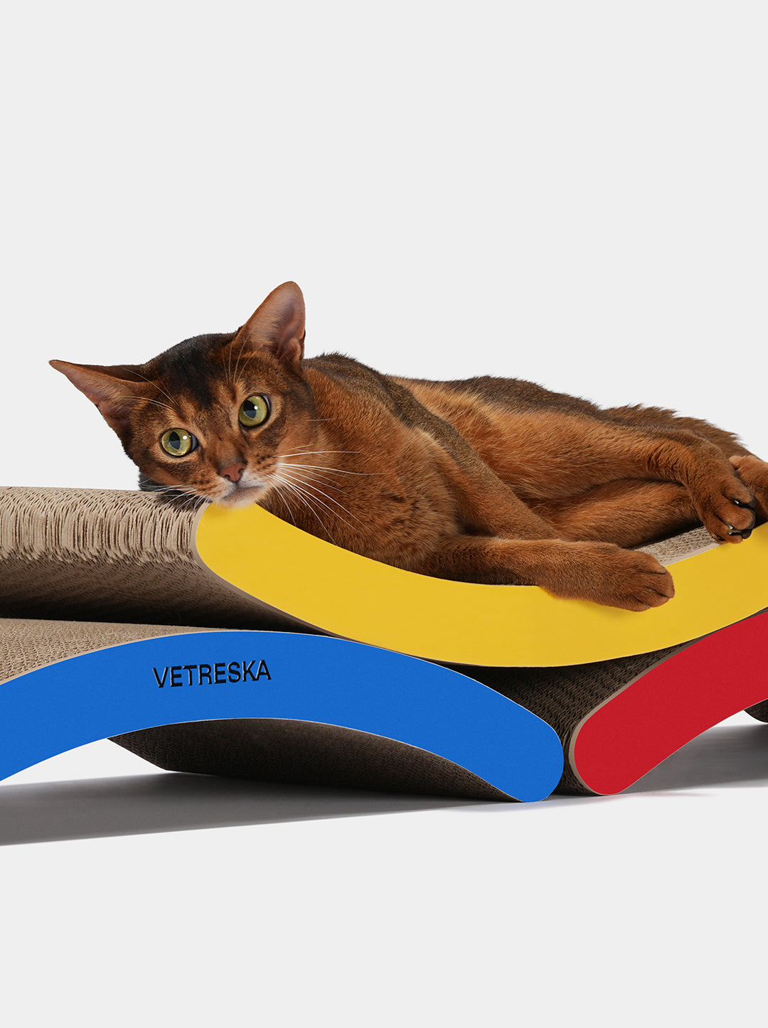 Chroma Cat Scratcher