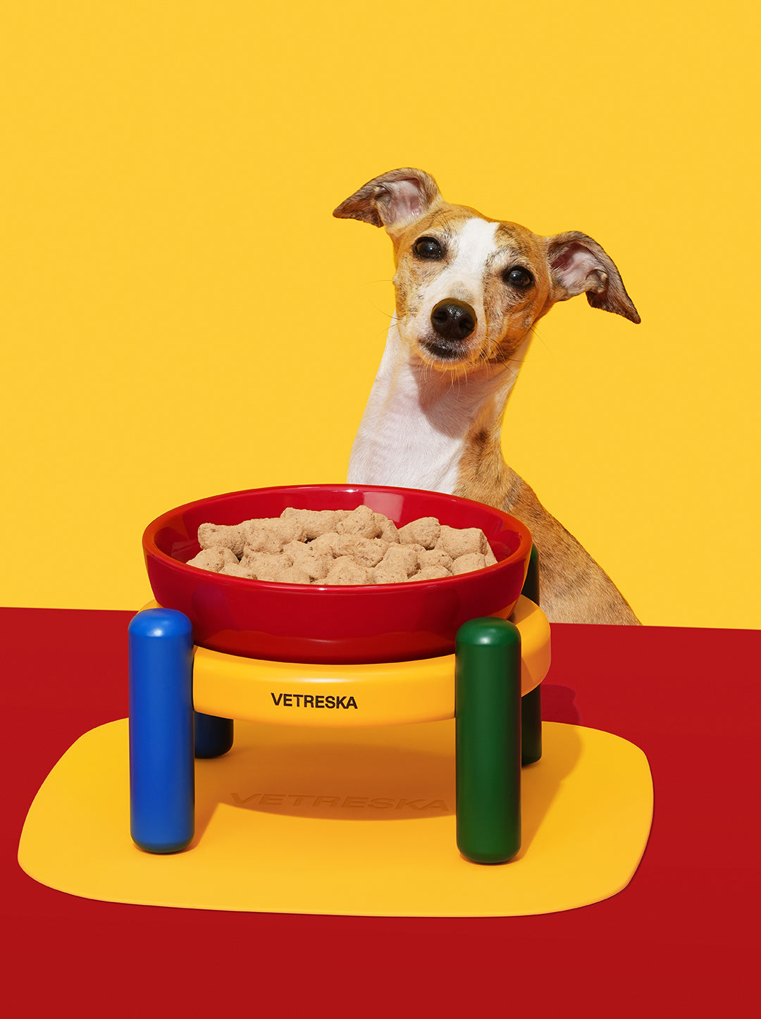 Chroma Ceramic Pet Bowl & Mat Set