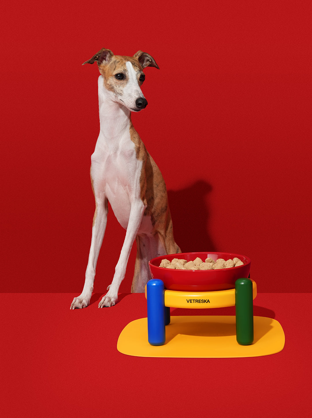 Chroma Ceramic Pet Bowl & Mat Set