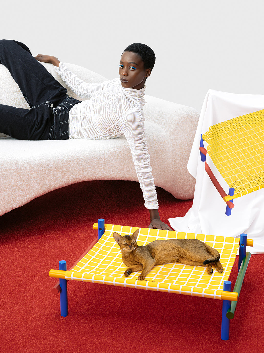 Chroma Pet Bed 