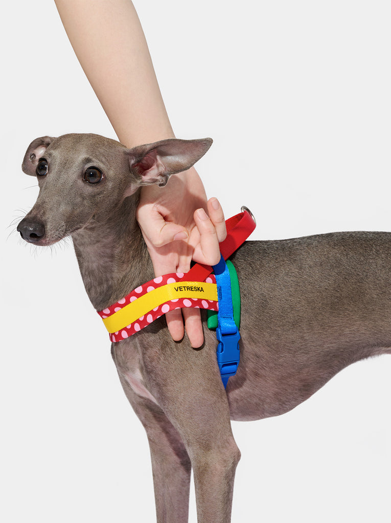 Chroma Pet Harness & Leash Set (Red)