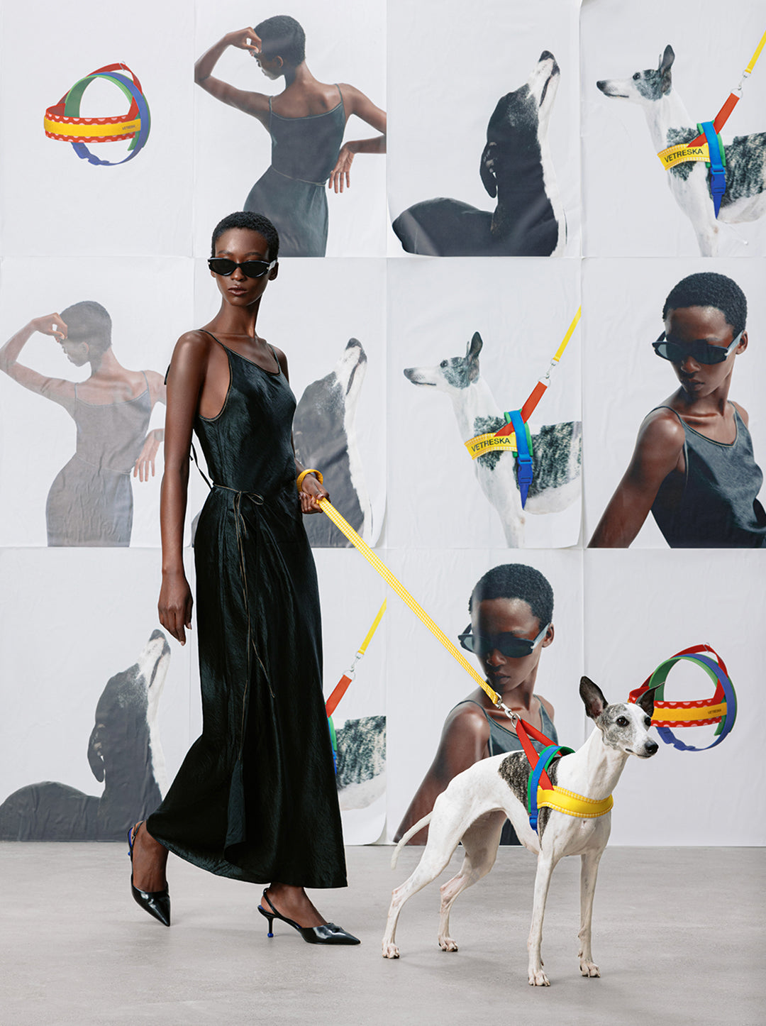 Chroma Pet Harness & Leash Set