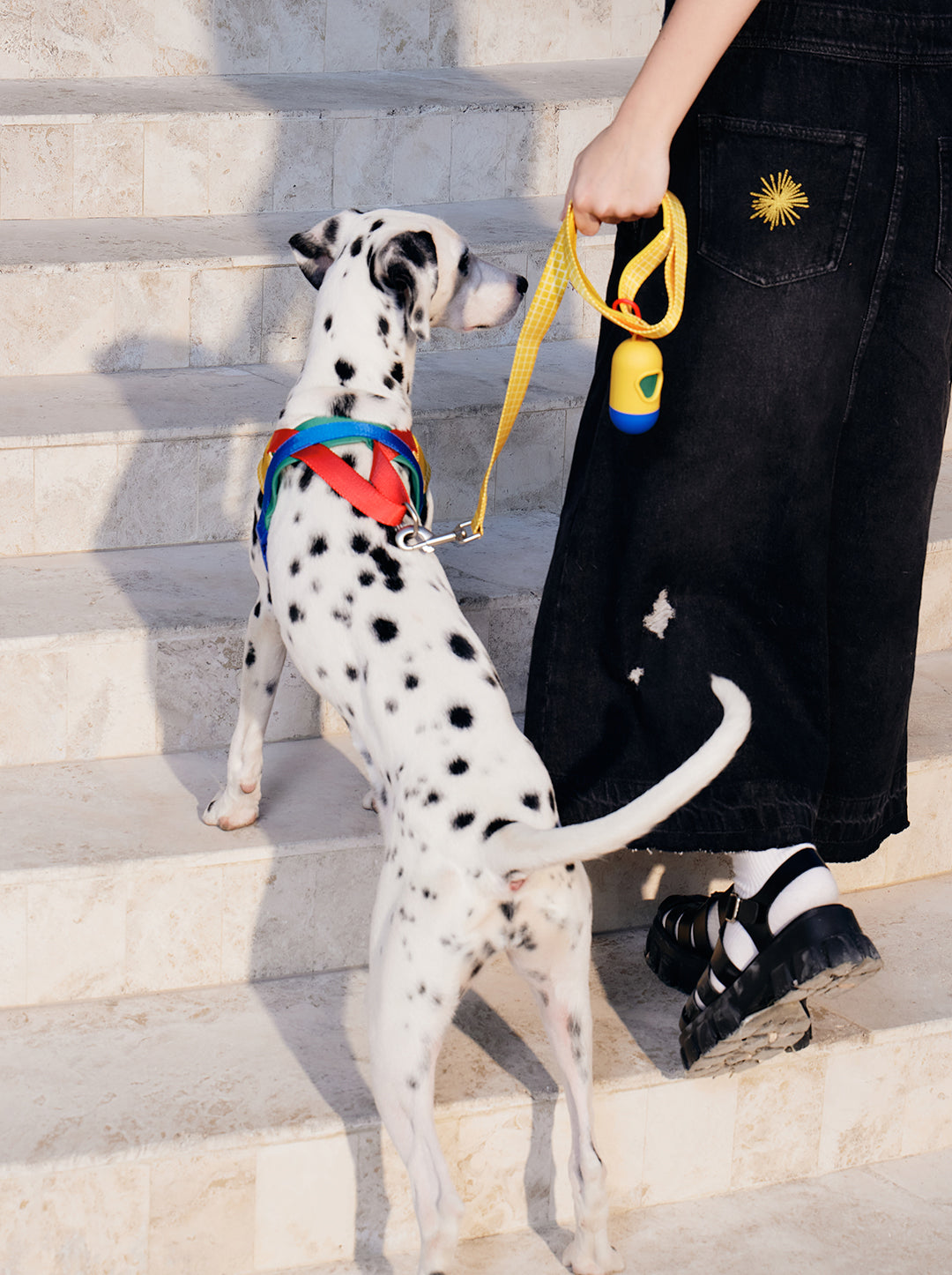 Chroma Pet Harness & Leash Set (Yellow)