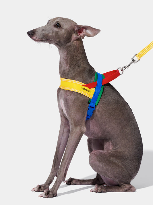 Chroma Pet Harness & Leash Set (Yellow)