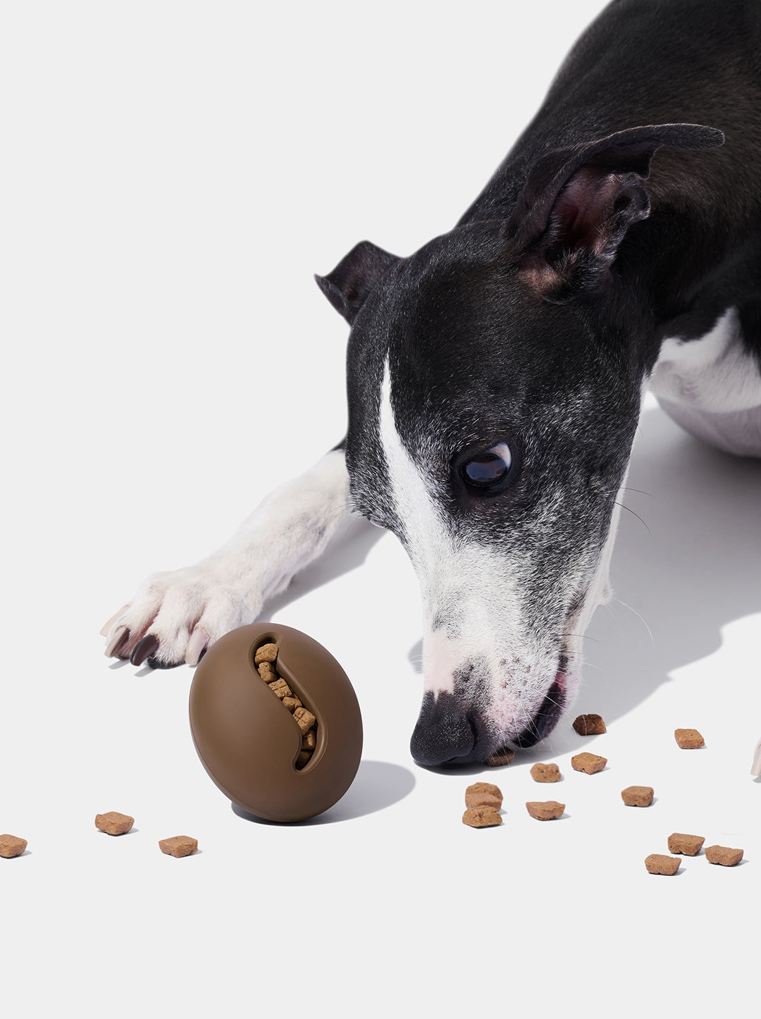 Coffee Pet Feeder Toy