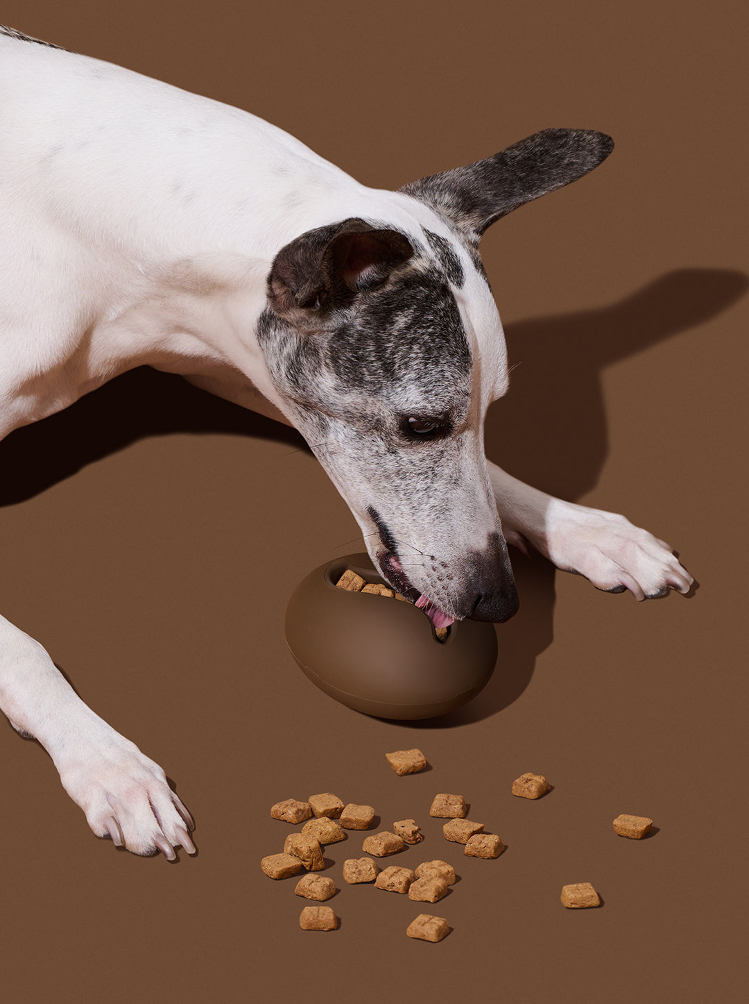 Coffee Pet Feeder Toy