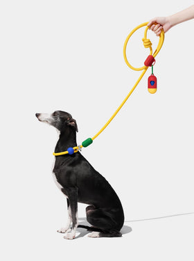 Connect Walk Kit - Chroma