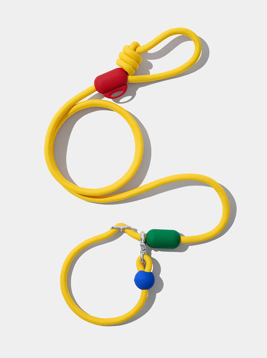 Connect Hands-Free Rope Leash For Pets - Chroma