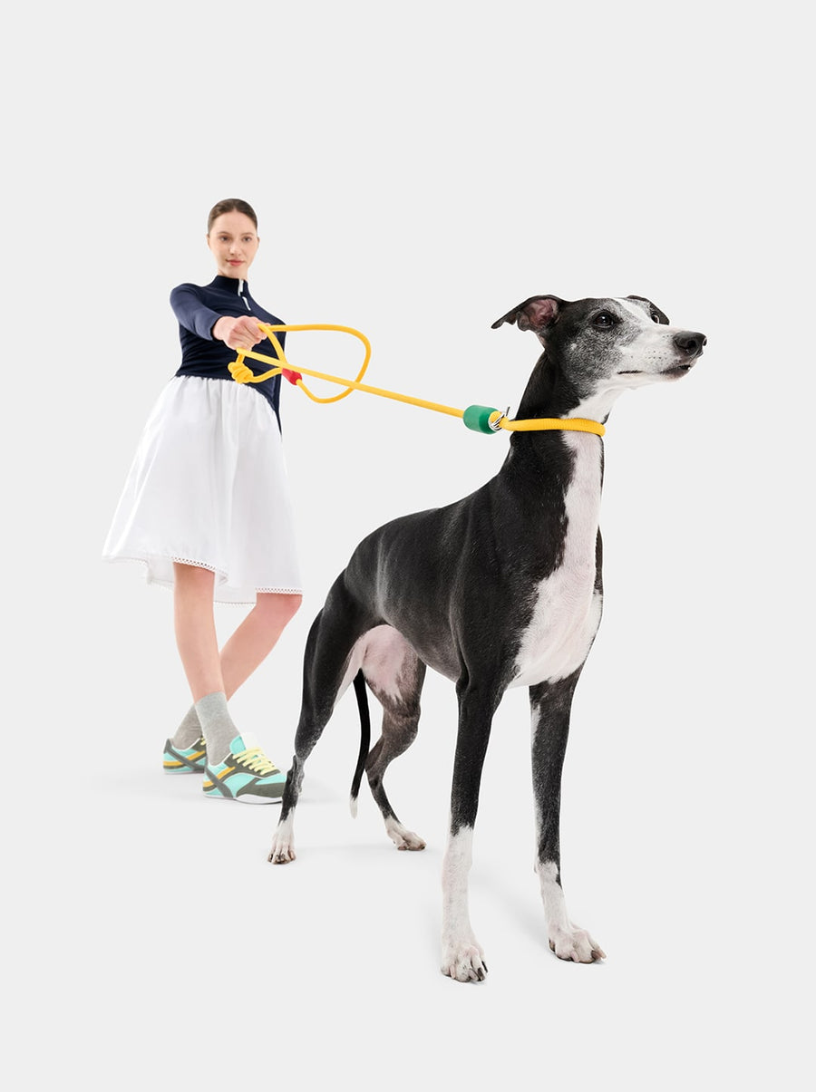 Connect Hands-Free Rope Leash - Chroma
