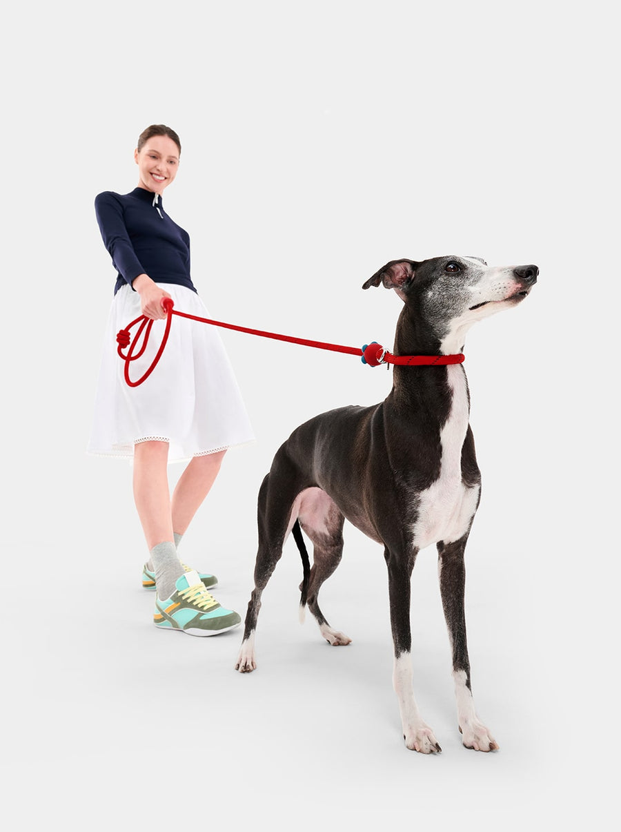 Connect Hands-Free Rope Leash - Strawberry