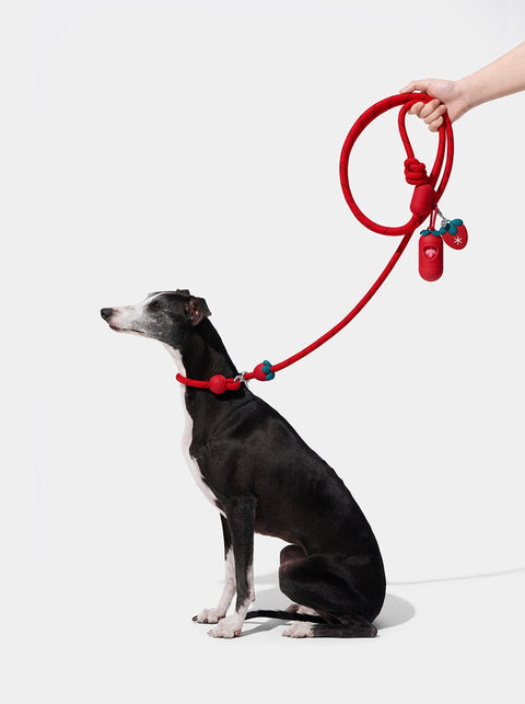 Connect Walk Kit - Strawberry