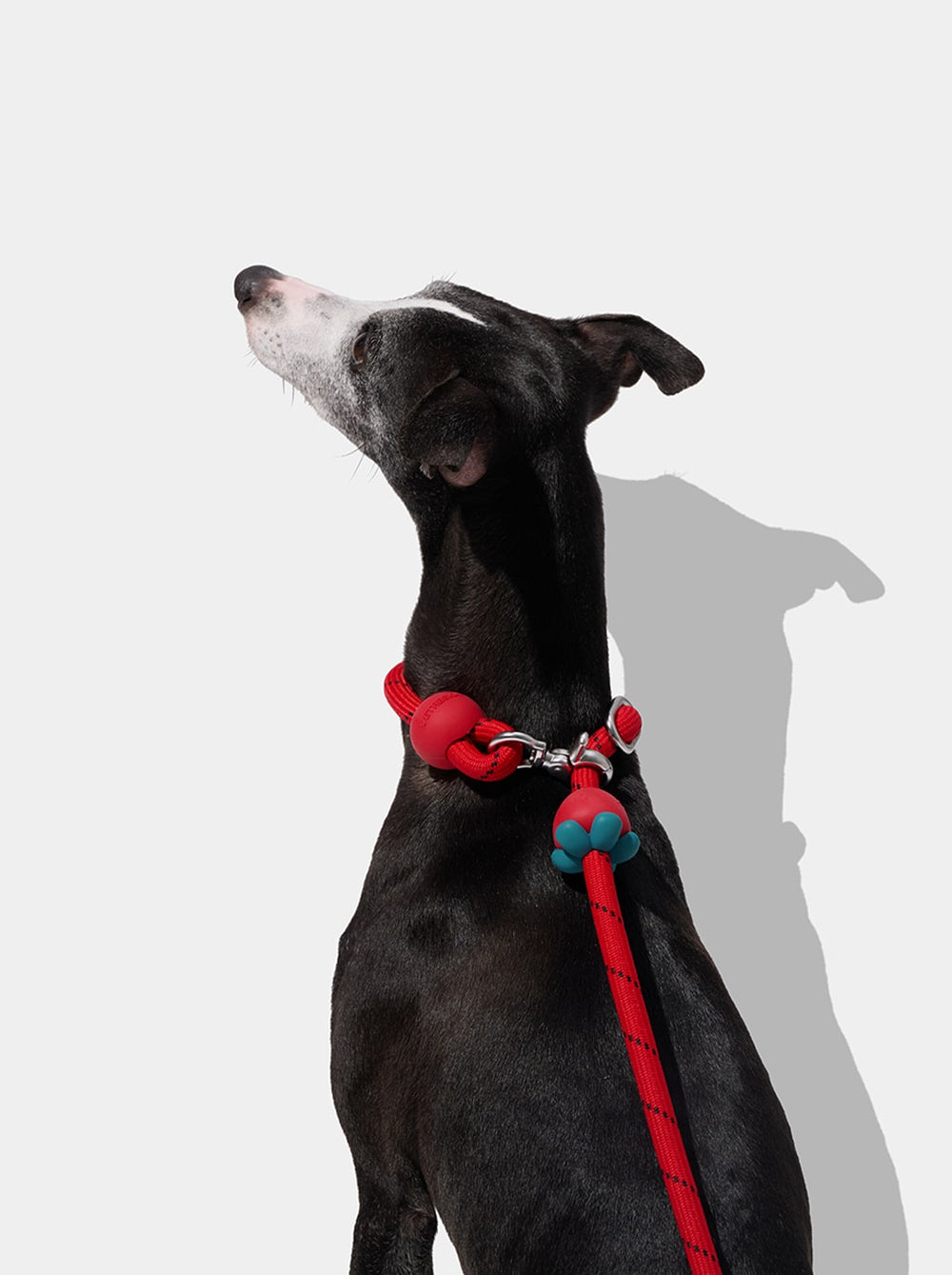 Connect Hands-Free Rope Leash For Pets - Strawberry