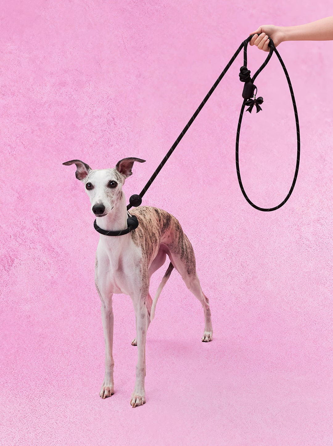 Connect Hands-Free Rope Leash – Bow de Noir